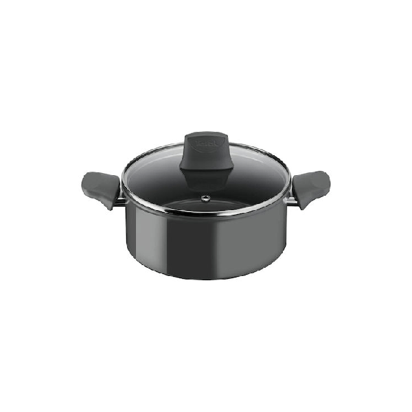 TEFAL RENEWAL C42646 ΒΑΘΙΆ ΚΑΤΣΑΡΌΛΑ ΑΠΌ ΑΛΟΥΜΊΝΙΟ 24CM